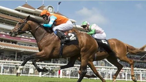 不败神话与赛道君王：范高尔，一匹定义时代的传奇赛马